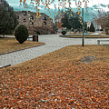 Autumn