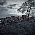 Barren