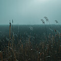 Haze
